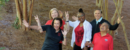 Southern Conference Image